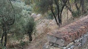 Da Campiglia fino alle terme l’antico percorso da valorizzare