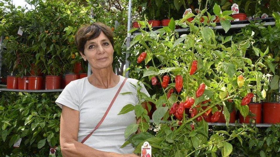 Loretta socia dei Georgofili Oggi si festeggia la Zagarata