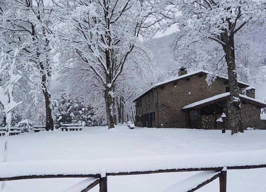 Domenica delle Palme sotto una coltre di neve 