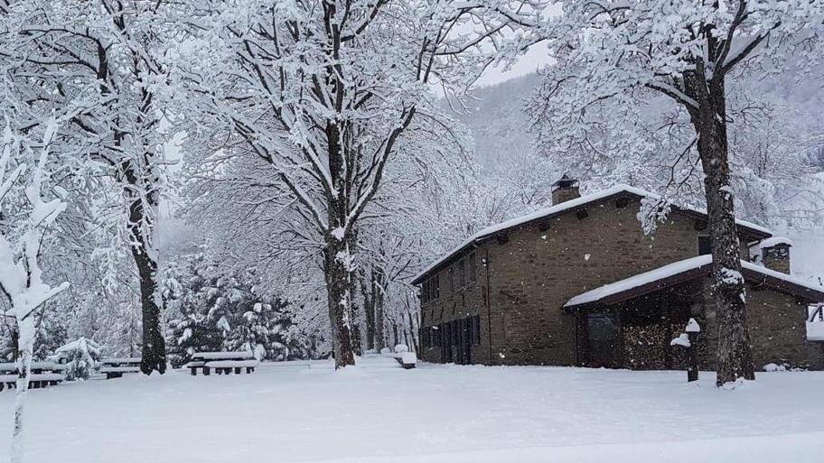 Domenica delle Palme sotto una coltre di neve