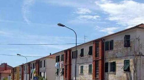 «Curo io il verde del quartiere» Ma il Comune non le risponde