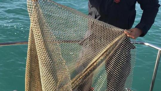 Sequestrati 34 chili di prodotti ittici