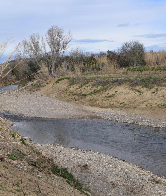 Contratto fiume Cornia Oggi prima assemblea