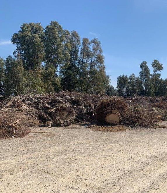 «Discarica di potature in fondo a via Sanzio C’è il rischio di incendi» 