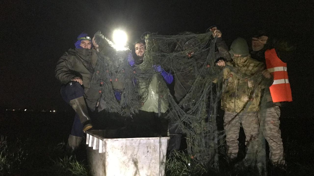 Operazione notturna contro i pescatori di frodo, 400 chili di carpe sequestrate