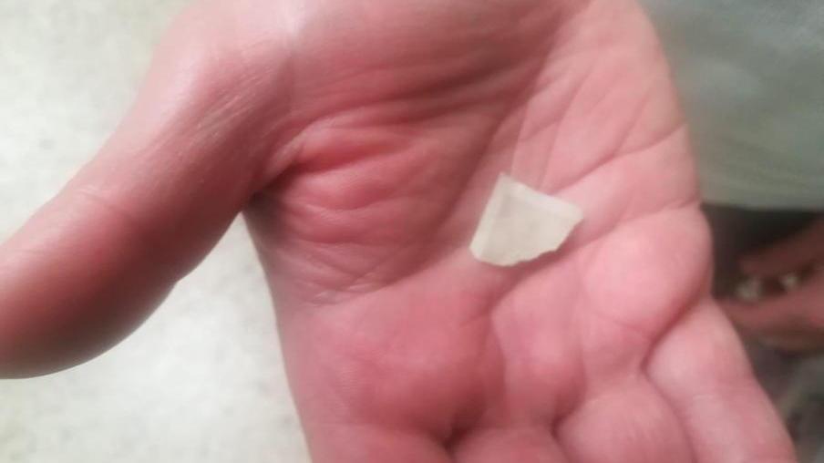 Il Comune “scagiona” Cirfood: «Non era cotta la carta negli spinaci»