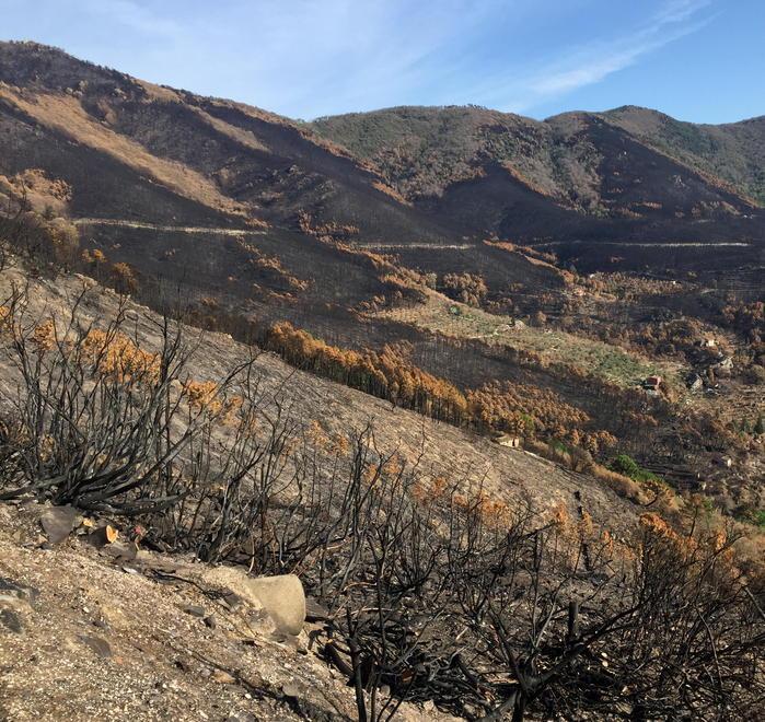 Due milioni alle imprese danneggiate dalle fiamme 