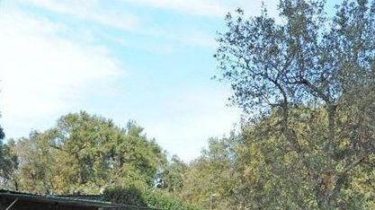 Feste al parco Le Sughere stabilite le tariffe di utilizzo