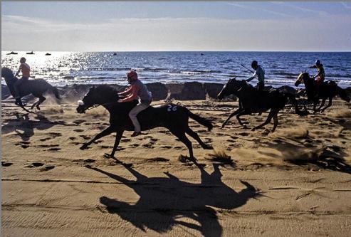 Un momento di una passata edizione del Palio della Costa etrusca a San Vincenzo (foto P. Barlettani)