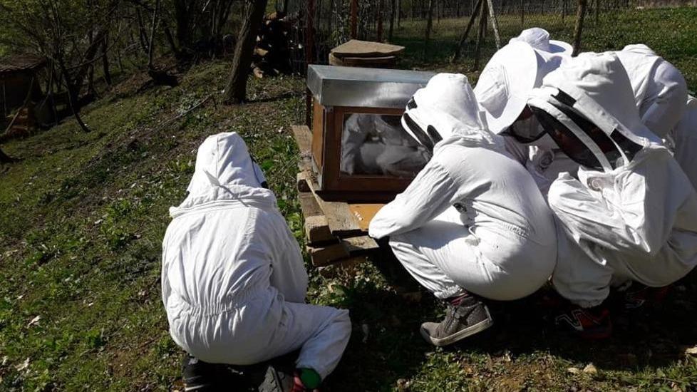 Fattorie didattiche Metti un giorno in campagna per conoscere da vicino gli animali e la civiltà contadina