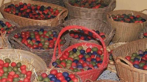 È Pasqua, tutto pronto per lo Scusìn