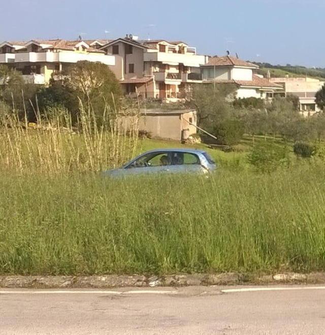 Erba alta alla rotonda Visibilità precaria