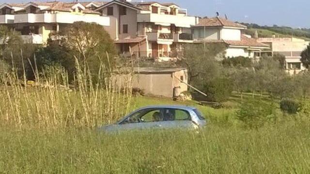 Erba alta alla rotonda Visibilità precaria