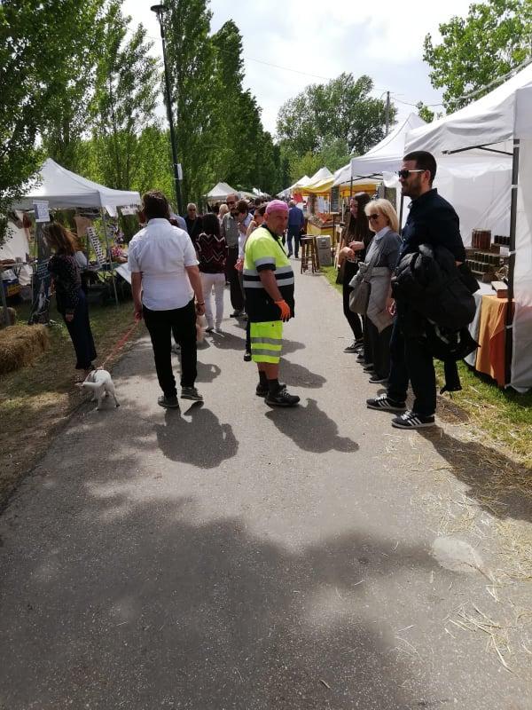 Guastalla, il Lido Po fa il pieno di visitatori grazie a Georgica 