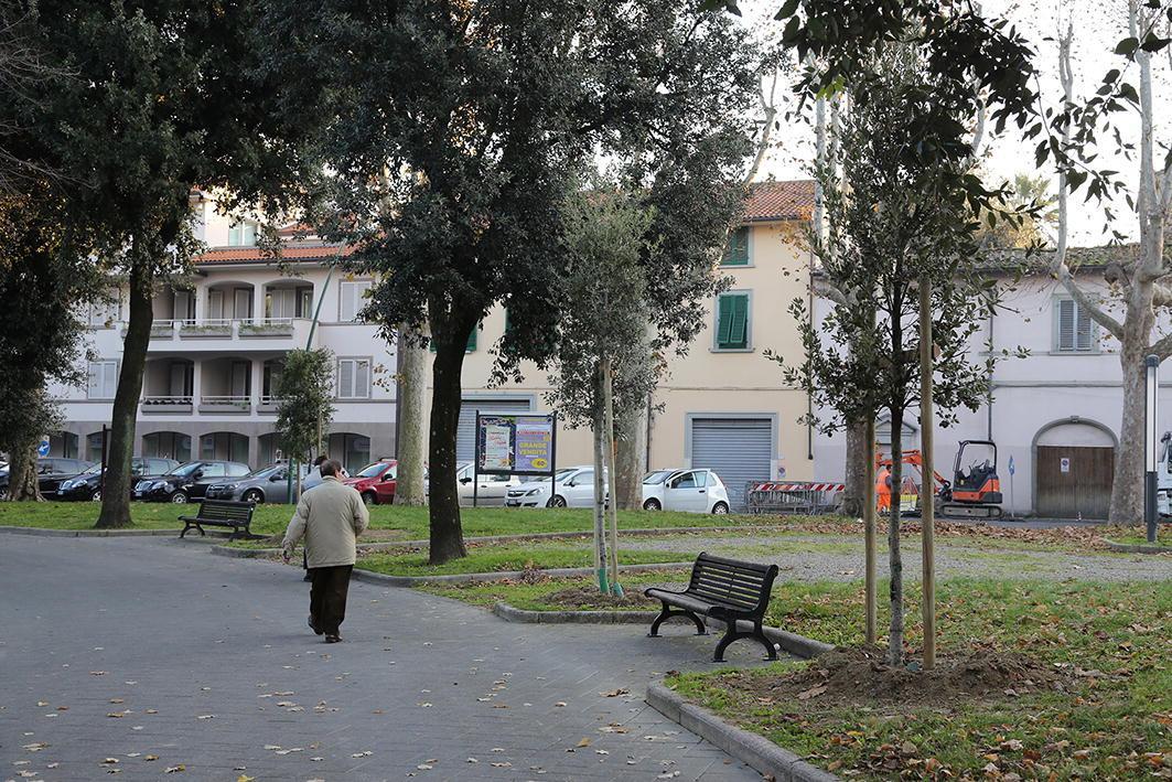 Al via nuove piantumazioni a Empoli (foto d'archivio)