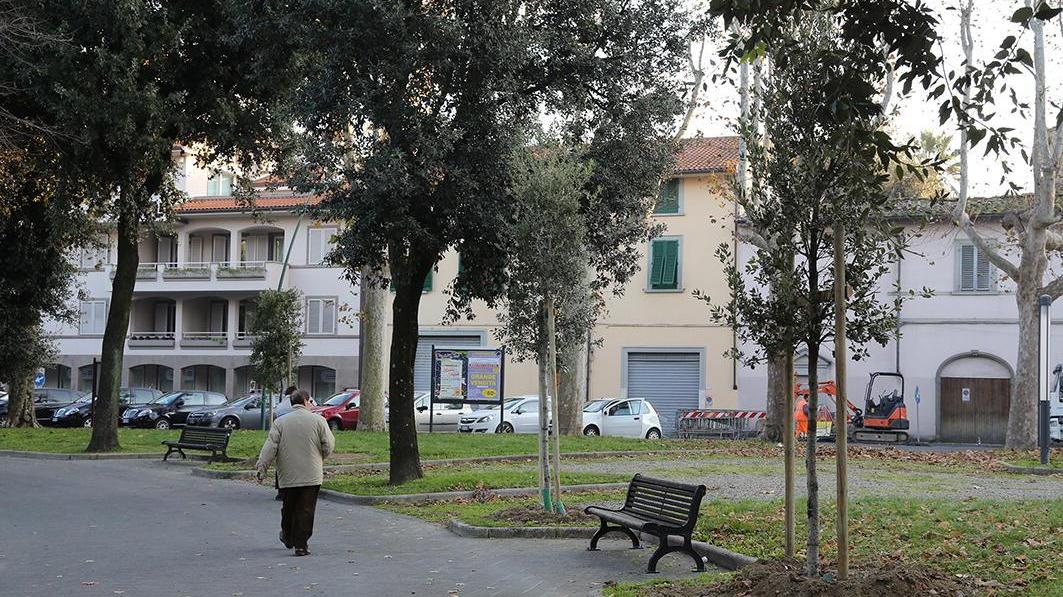 Al via nuove piantumazioni a Empoli (foto d'archivio)