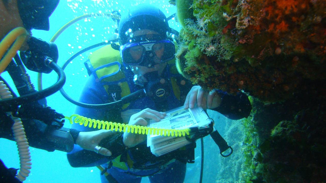 Vedere sott’acqua anche da ciechi: al Giglio corso per nuovi istruttori