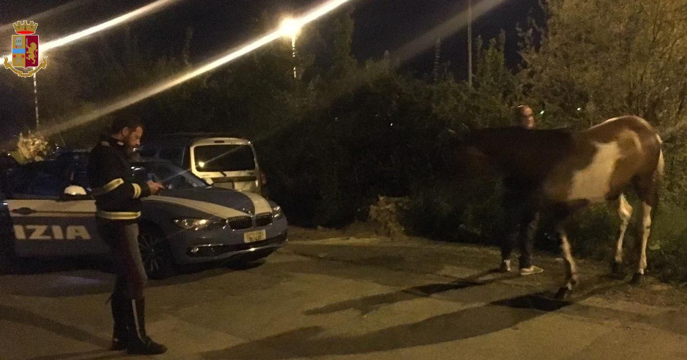 Il salvataggio di Macchia