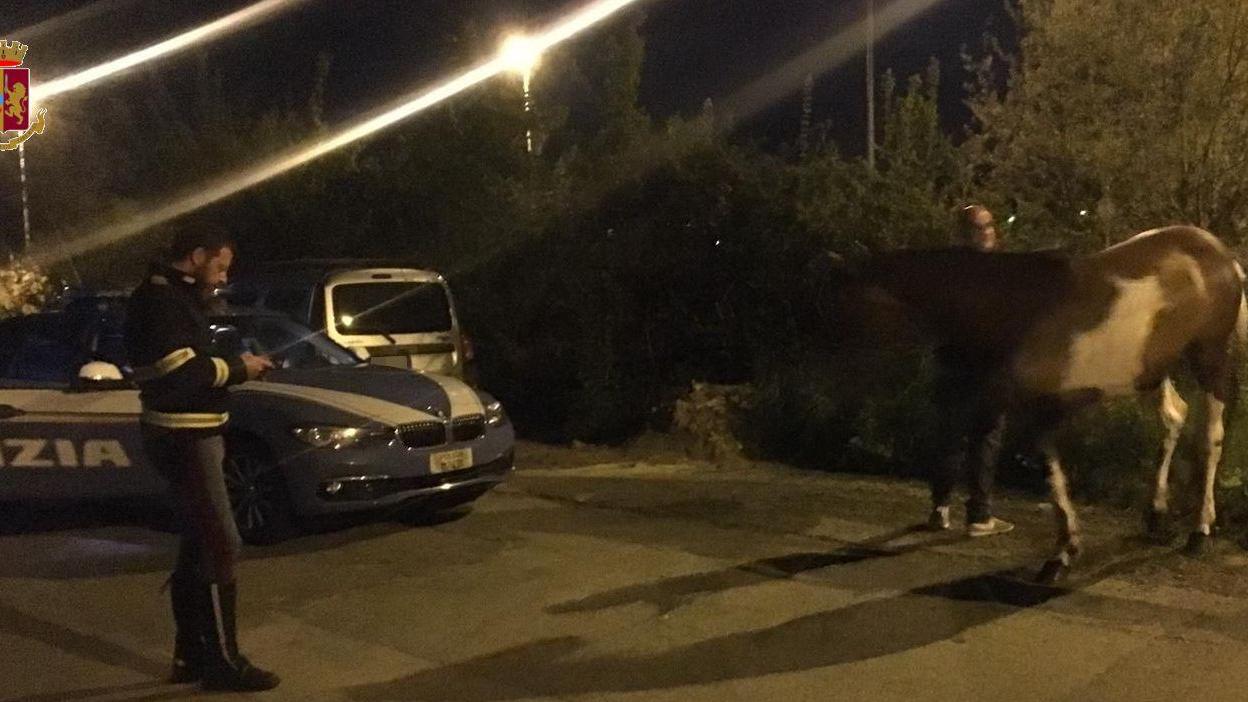 Il salvataggio di Macchia