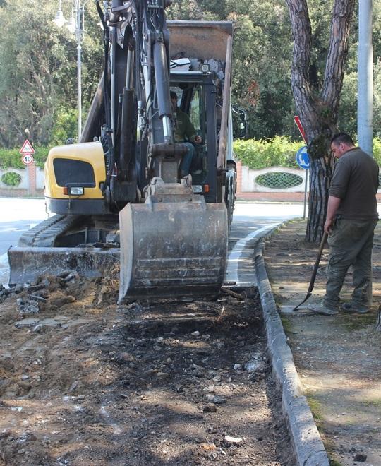 Via alle radici sporgenti dalle strade di Marina