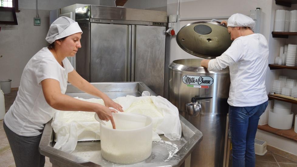 Le fasi di preparazione dei formaggi all’interno del laboratorio La Piana del Rosso a Suvereto
