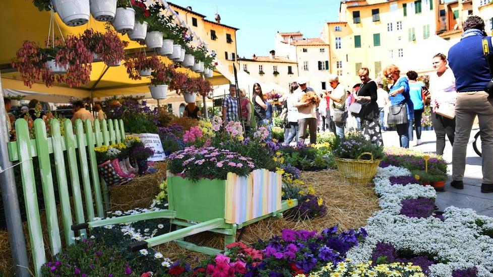 Fiori e dolciumi alla Fiera di Santa Zita