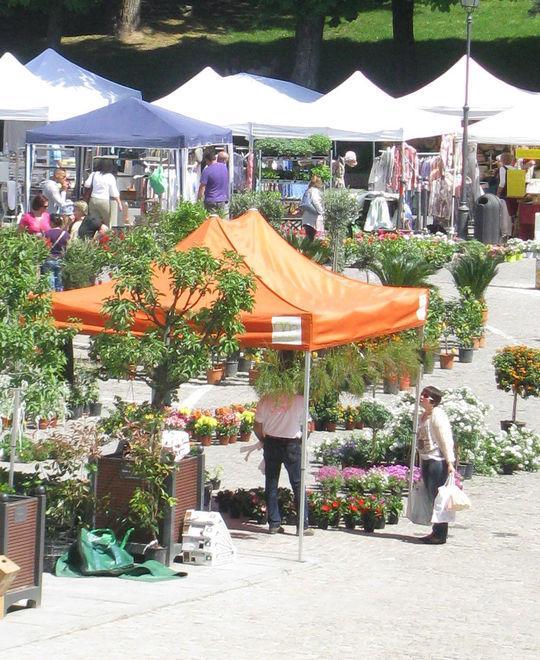 Piazza Zanti fiorita per la festa di domenica