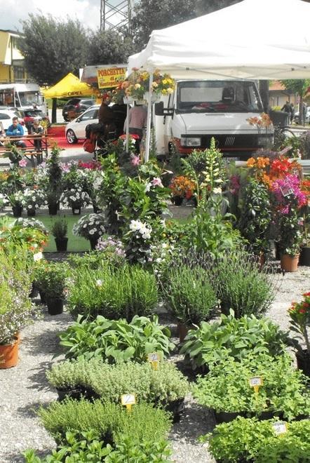 Torna la primavera con la mostra in paese
