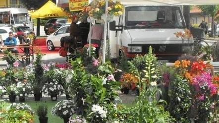 Torna la primavera con la mostra in paese