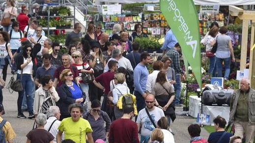 Torna Il Madonnino, la fiera in Maremma dell’allevamento e dell’agricoltura