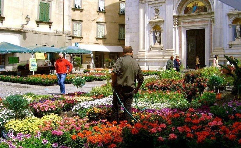 Torna l’appuntamento con la mostra mercato dell’ortoflorovivaismo