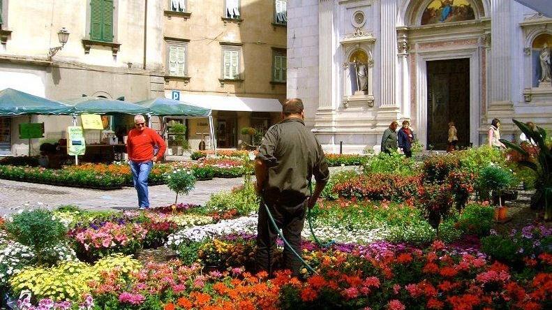 Torna l’appuntamento con la mostra mercato dell’ortoflorovivaismo