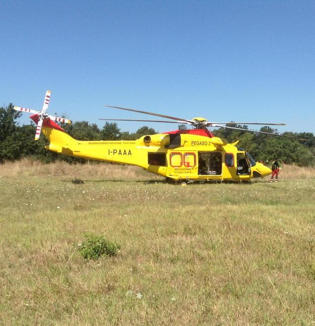 Soccorso col “Pegaso” dopo il volo dall’albero