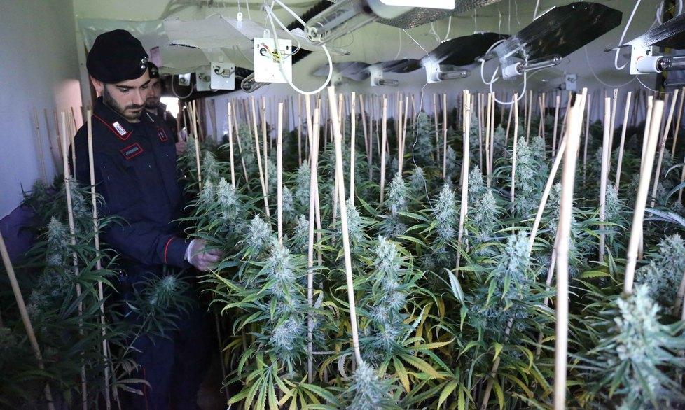 Droga pura soldi a fiumi e fabbriche nella bassa