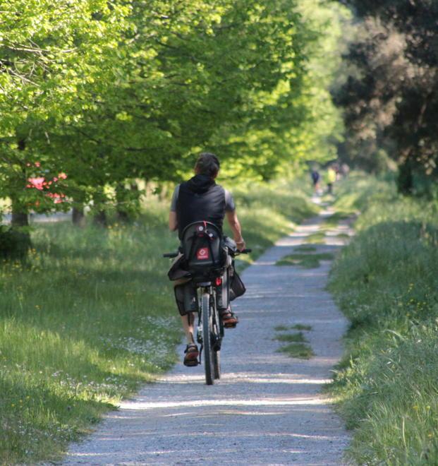 Rubate 11 super-bike da un campeggio: i turisti se ne vanno 