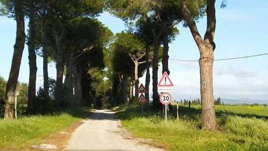 Troppe buche, il bus non passa Tolta (e poi rimessa) la fermata