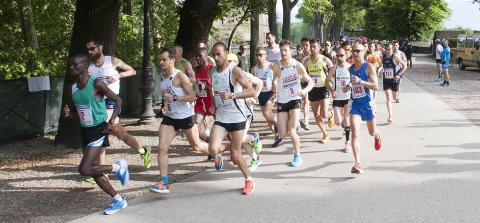 Un'immagine della Lucca Half Marathon 2016: vinse il kenyota Rono Julius Kipngetich (in testa al gruppo)