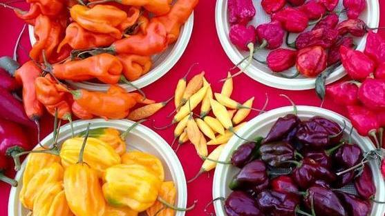 Torna il festival dei sapori e della natura