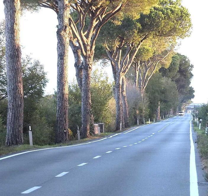 Resta in gravi condizioni l’artiere finito contro un pino