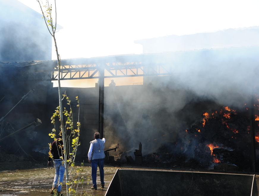 Incendio devasta una stalla La mattanza delle mucche 