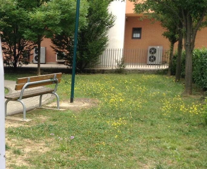 Il giardino di via Garella