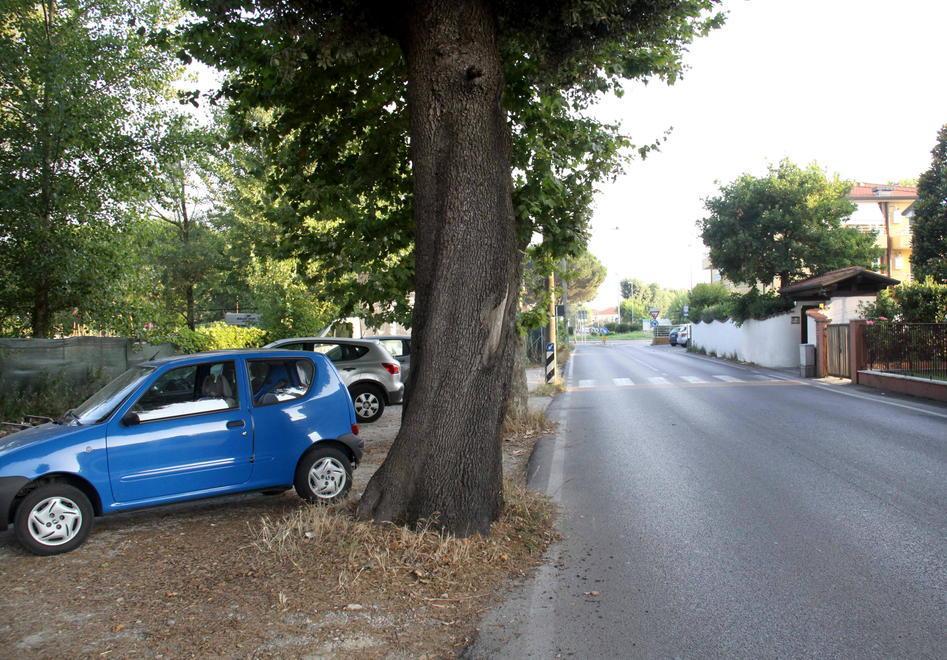 Maxi risarcimento dal Comune per l’incidente in via dei Lecci 