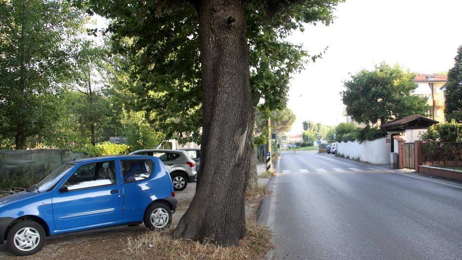 Maxi risarcimento dal Comune per l’incidente in via dei Lecci