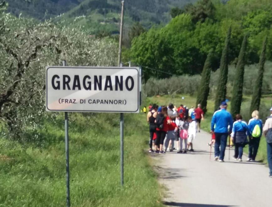 In 804 di corsa sulle colline per la “Sudata Gragnanese” 