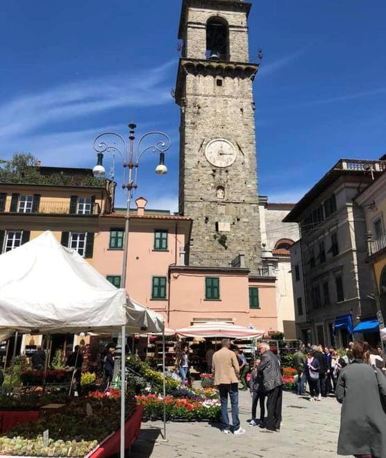 In 5mila per Bancarel’fiore Ma l’assessore polemizza: c’è chi fa cattive imitazioni 
