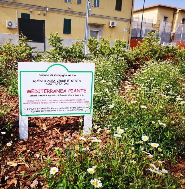 Aiuole fiorite negli spazi di fronte alla stazione