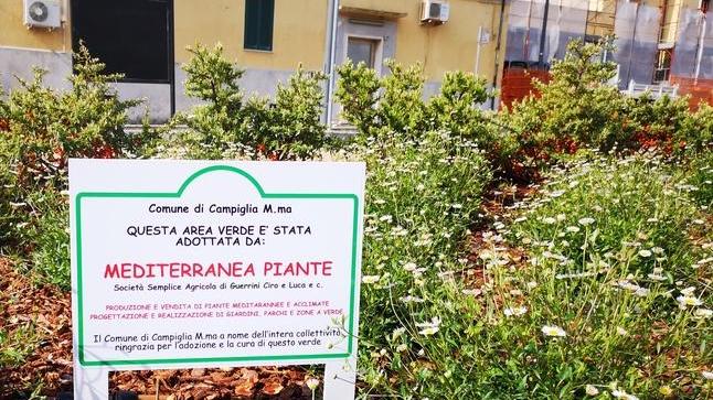 Aiuole fiorite negli spazi di fronte alla stazione