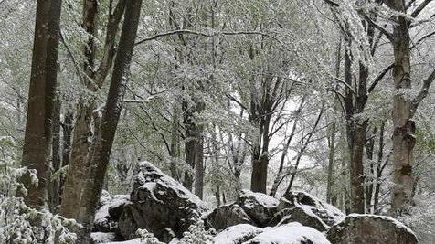 Freddo, pioggia e pure la neve per un’insolita primavera