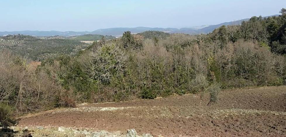 Nasce a Petriolo un parco d’arte ispirato agli etruschi 