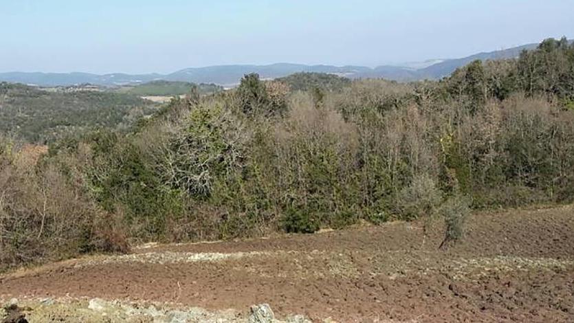 Nasce a Petriolo un parco d’arte ispirato agli etruschi